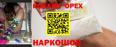 гашик Кинель