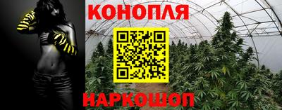 меф Кингисепп
