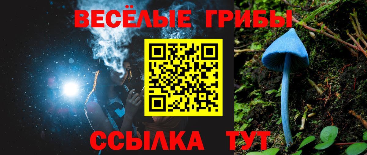Псилоцибиновые грибы мицелий  Псилоцибиновые грибы Psilocybine cubensis  Черкесск  Вход с VPN 
