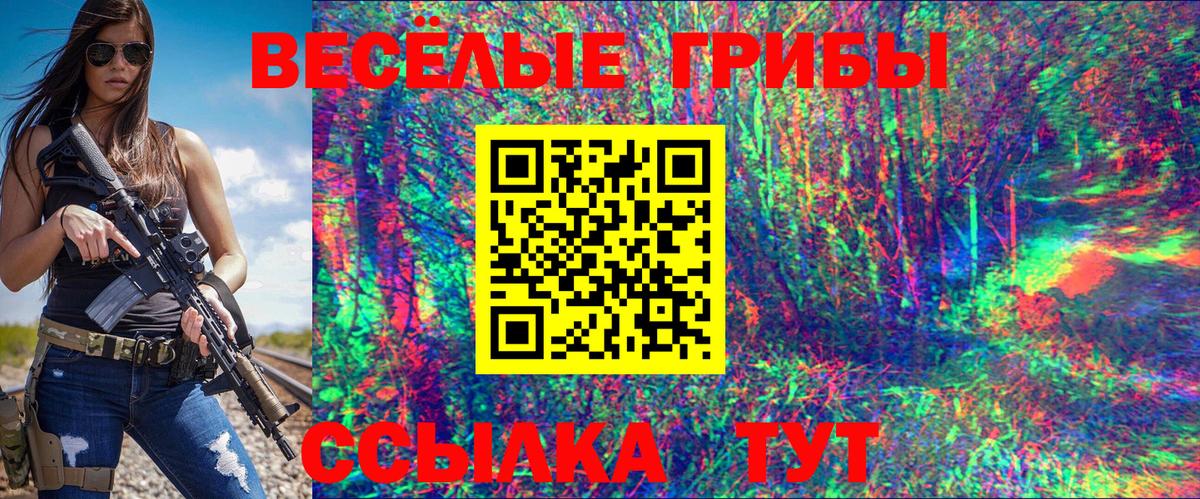 Псилоцибиновые грибы мицелий Черкесск